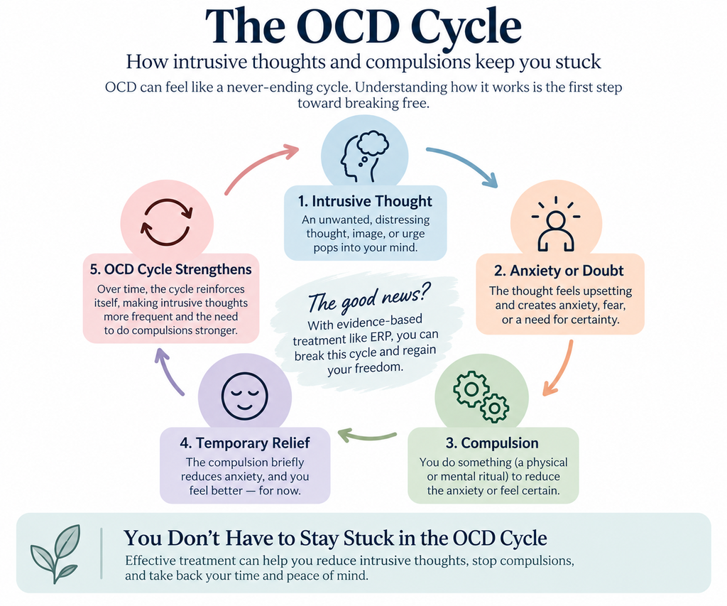 OCD therapy in Florida – understanding the OCD cycle